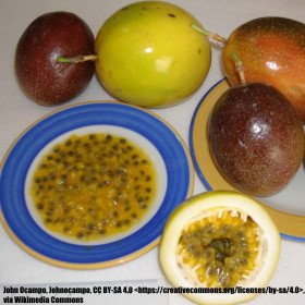 Passiflore edulis grenadille, passiflora edulis f. flavicarpa fruit of passion mixes